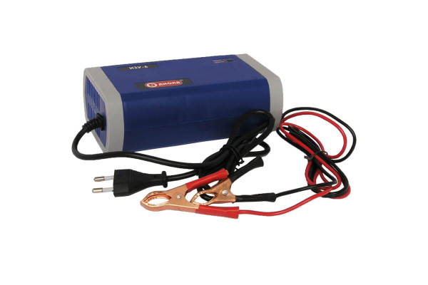 Инверторное зарядное устройство ДИОЛД ИЗУ-6 30020010