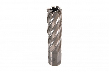 Сверло корончатое (19х55 мм; Weldon 19) Karnasch 20.1270U-019