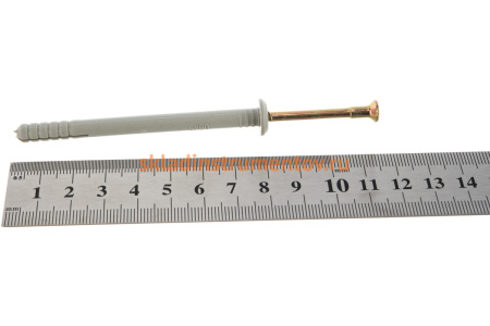 Дюбель-гвоздь полипропиленовый с грибовидным бортиком 950 шт. (6х80 мм; ТФ0) Зубр 4-301350-06-080